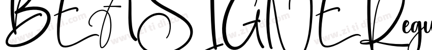 BEASIGNE Regular字体转换